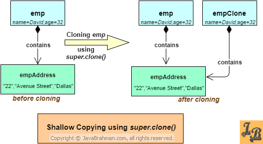 Shallow copying example - cloning in Java